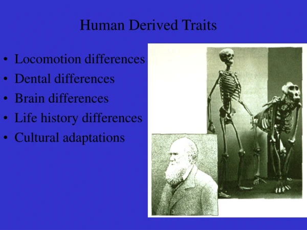 Human Derived Traits