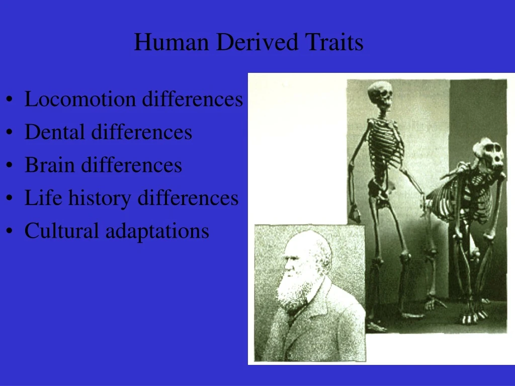 human derived traits