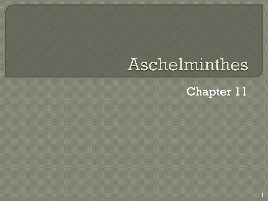 aschelminthes