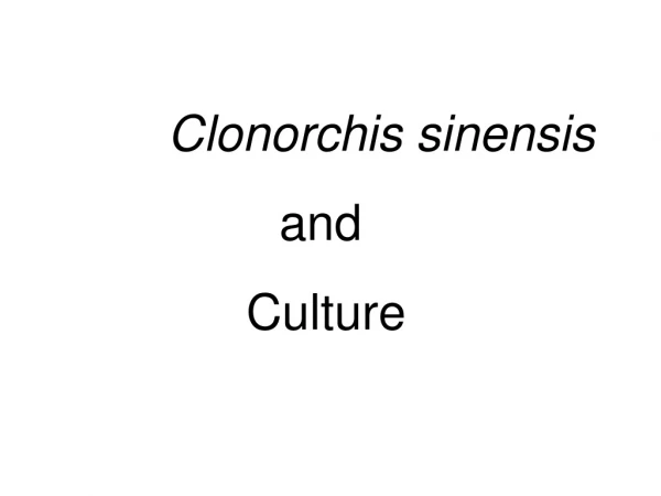 Clonorchis sinensis                  and  		     Culture