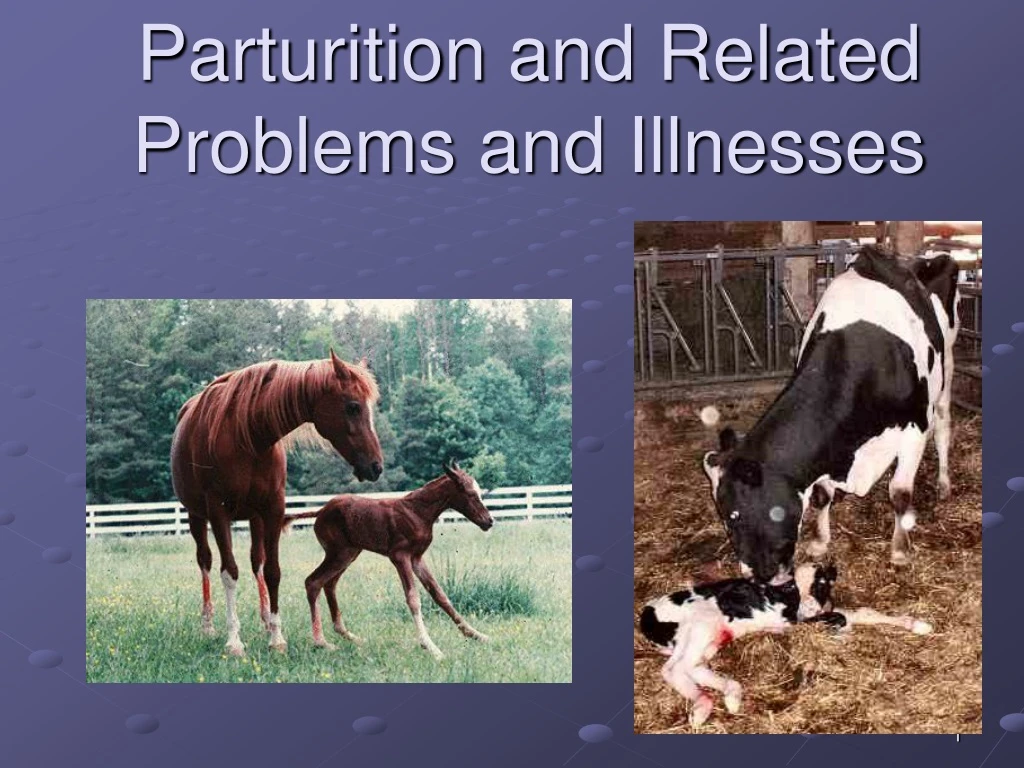 parturition and related problems and illnesses