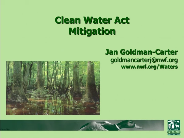 Clean Water Act  Mitigation Jan Goldman-Carter goldmancarterj@nwf nwf /Waters