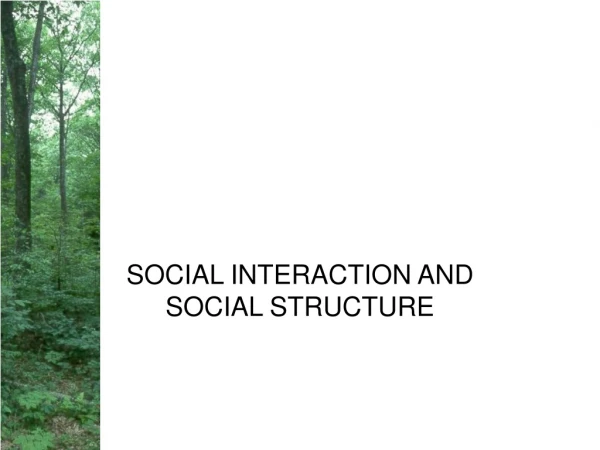 SOCIAL INTERACTION AND SOCIAL STRUCTURE