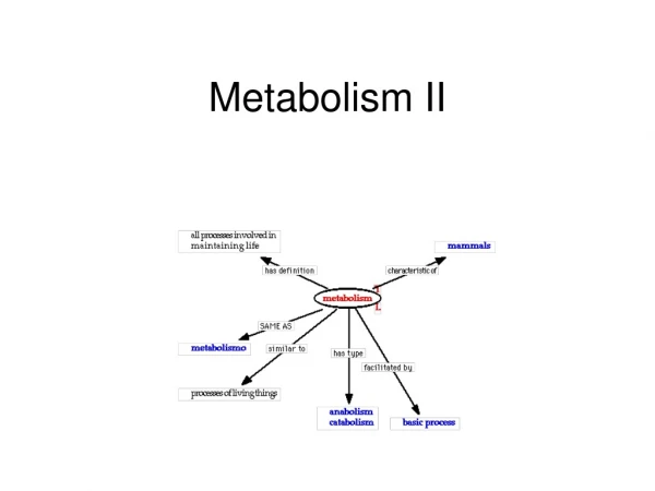 Metabolism II
