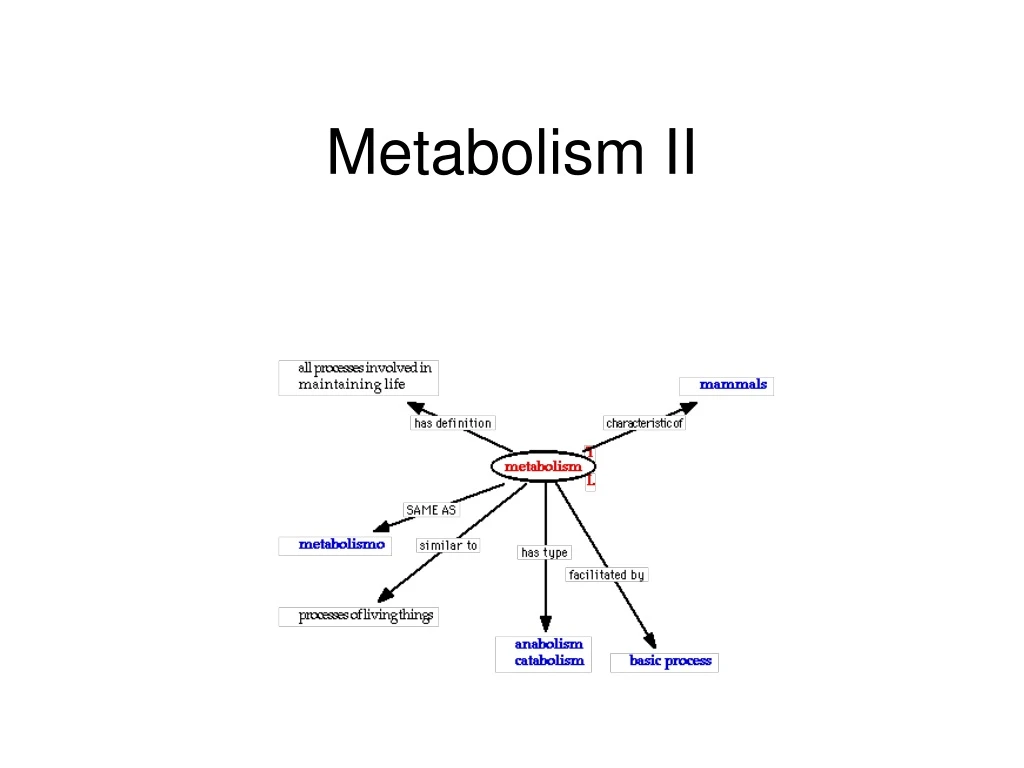 metabolism ii