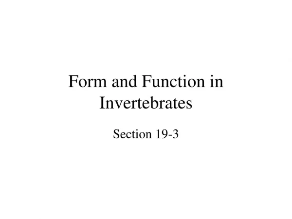 Form and Function in Invertebrates