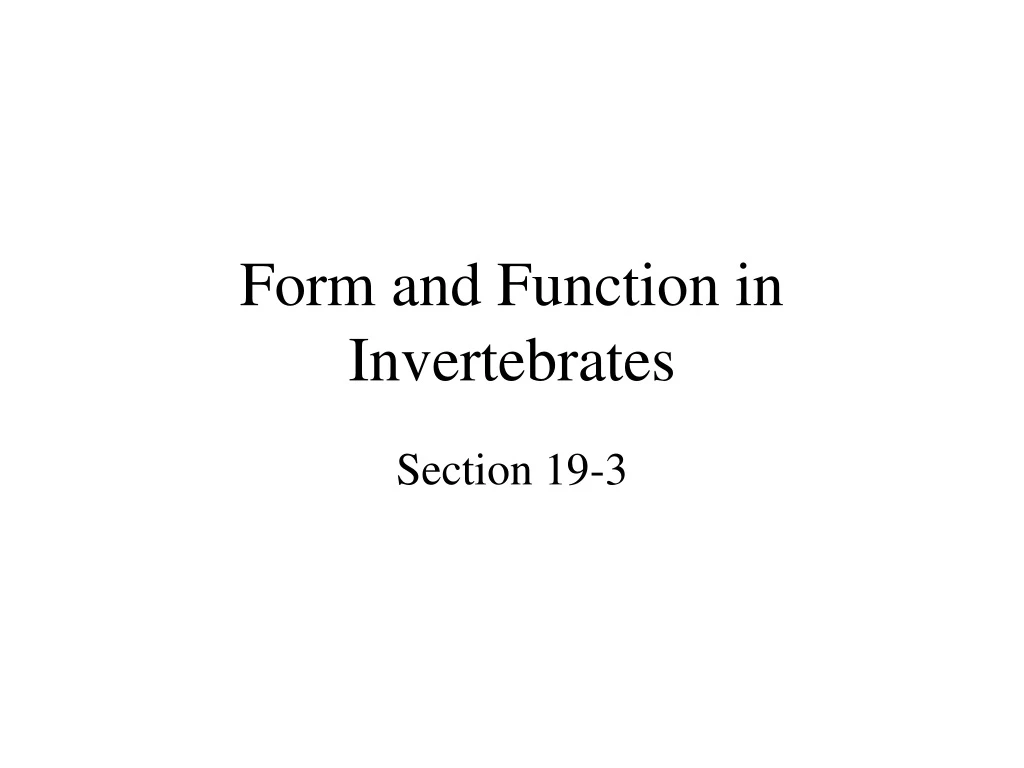 form and function in invertebrates