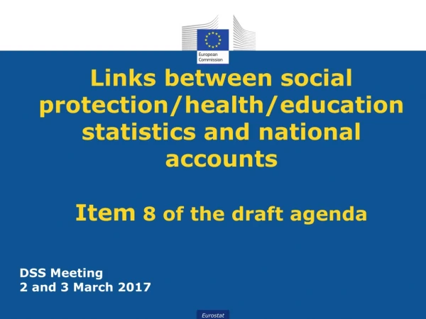 DSS Meeting 2 and 3 March 2017
