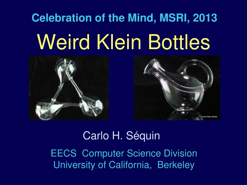 celebration of the mind msri 2013