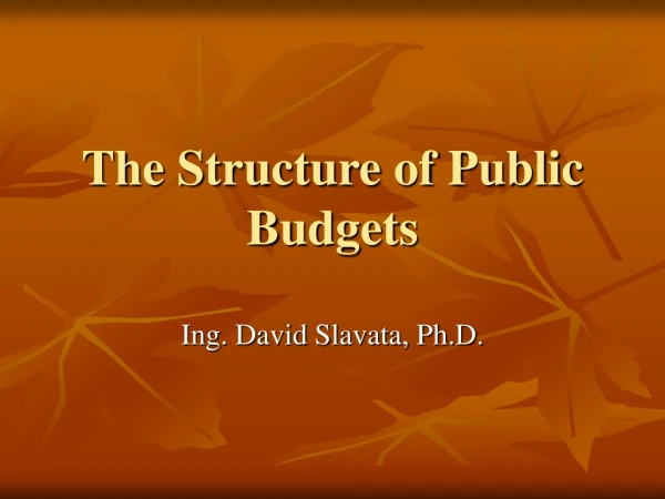 The Structure of  Public  Budgets