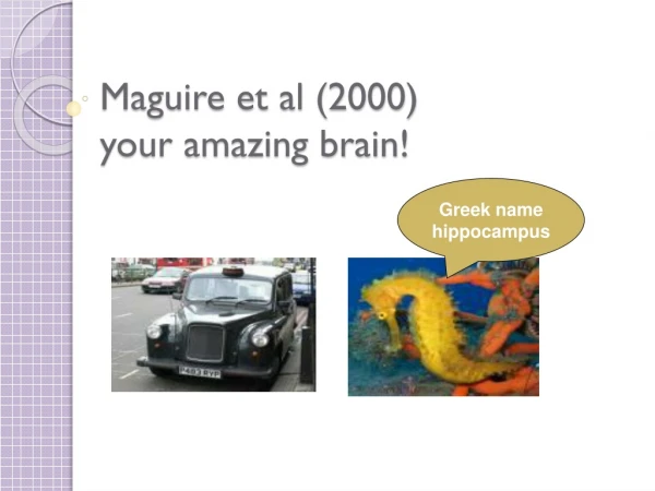 Maguire et al (2000)  your amazing brain!