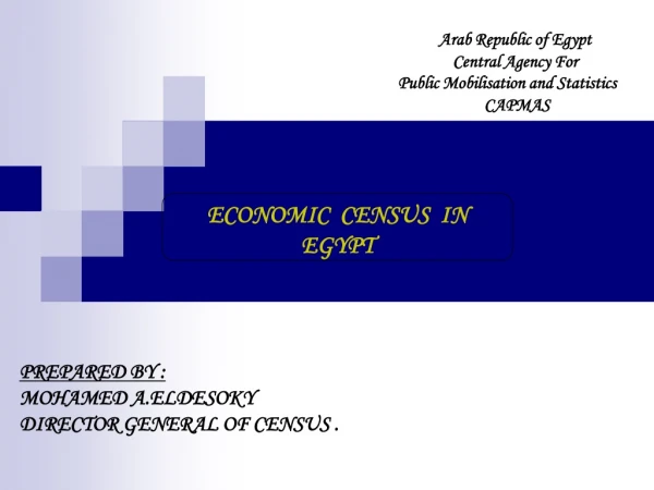ECONOMIC  CENSUS  IN  EGYPT