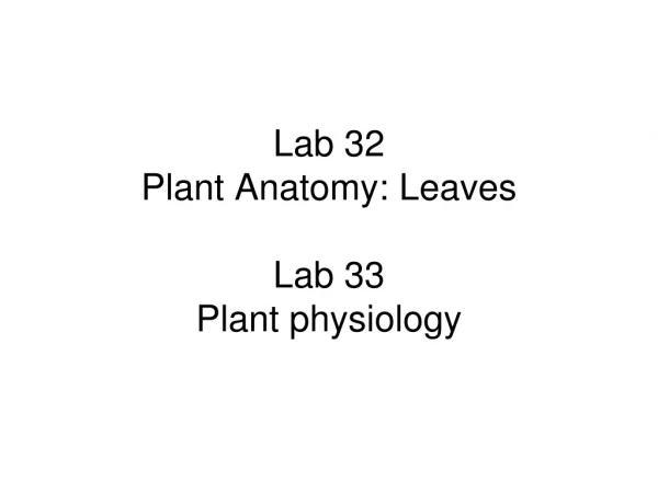 Lab 32 Plant Anatomy: Leaves  Lab 33 Plant physiology