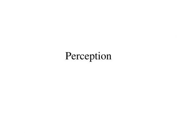 Perception