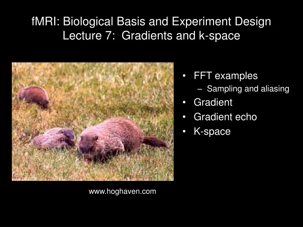 fmri biological basis and experiment design lecture 7 gradients and k space