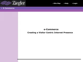 Enhancing Financial Solutions through Visitor-Centric E-Commerce Approach - slide 1