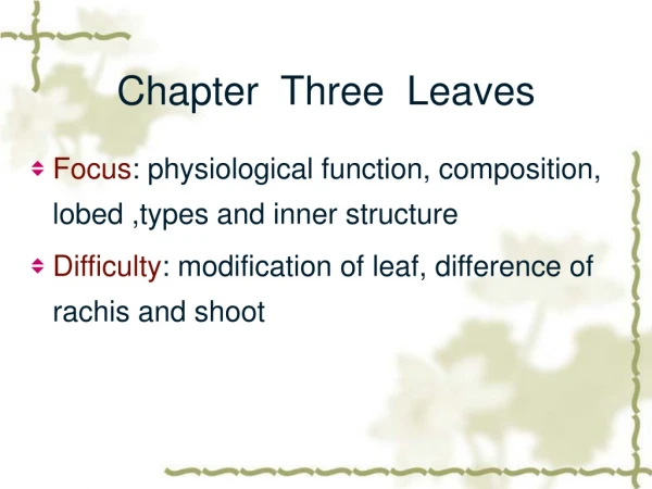 Chapter  Three  Leaves