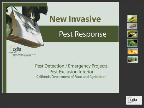 Pest Detection / Emergency Projects Pest Exclusion Interior