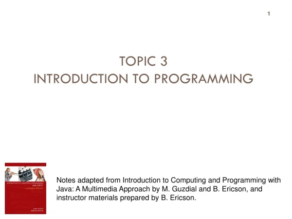Topic 3 Introduction to Programming