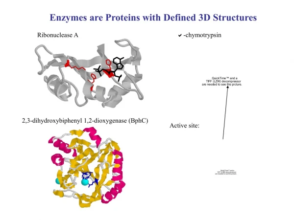 Enzymes are Proteins with Defined 3D Structures