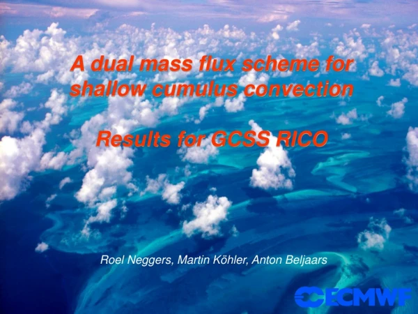 A dual mass flux scheme for  shallow cumulus convection Results for GCSS RICO