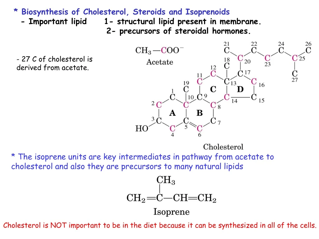 biosynthesis of cholesterol steroids