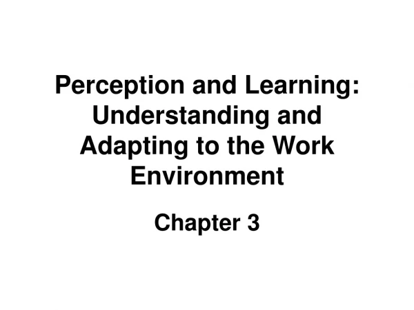 Perception and Learning: Understanding and Adapting to the Work Environment