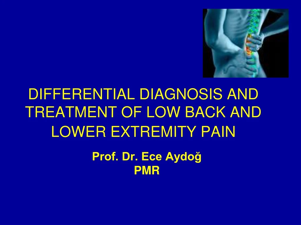 differential diagnosis and treatment of low back and lower extremity pain