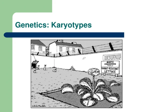 Genetics: Karyotypes
