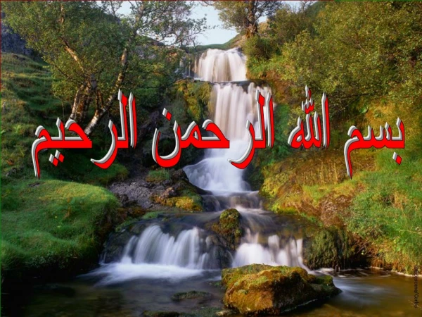 بسم الله الرحمن الرحيم