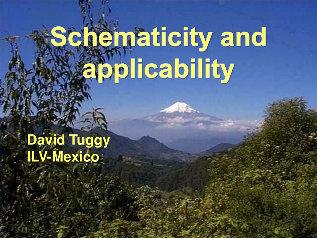 schematicity and applicability