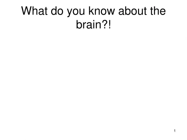 What do you know about the brain?!