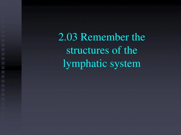 2.03 Remember the  structures of the  lymphatic system