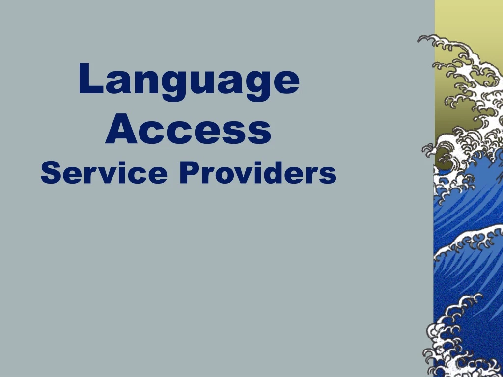 language access service providers