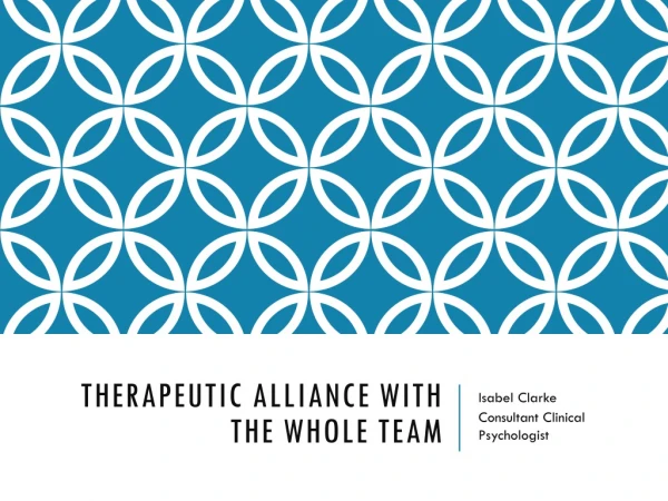 Therapeutic Alliance with the whole team