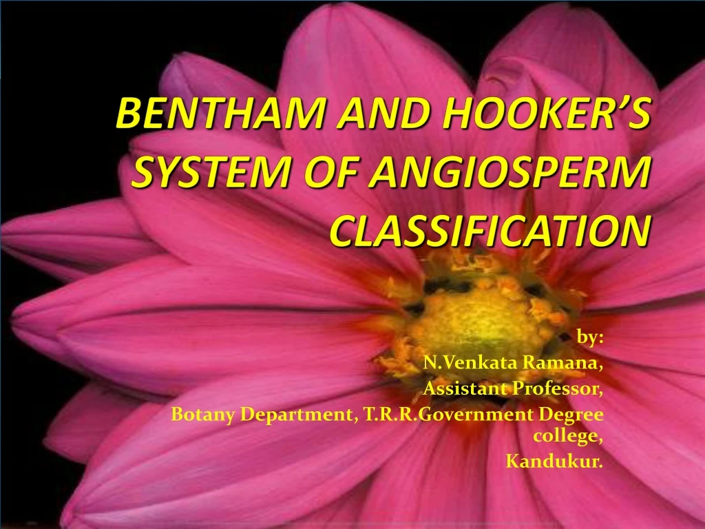bentham and hooker s system of angiosperm classification
