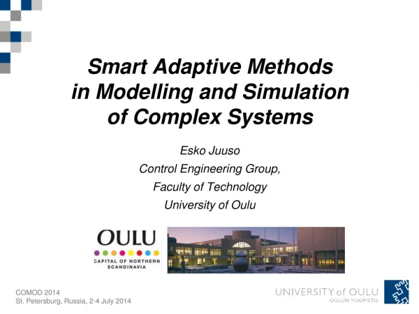 Smart Adaptive Methods  in Modelling and Simulation  of Complex Systems