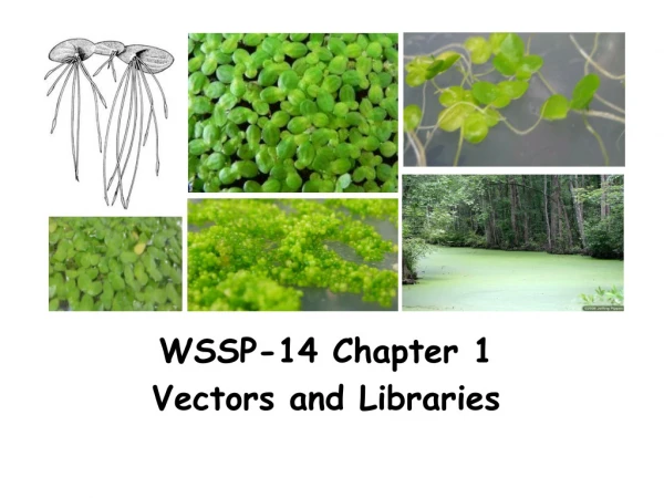 WSSP-14 Chapter 1 Vectors and Libraries