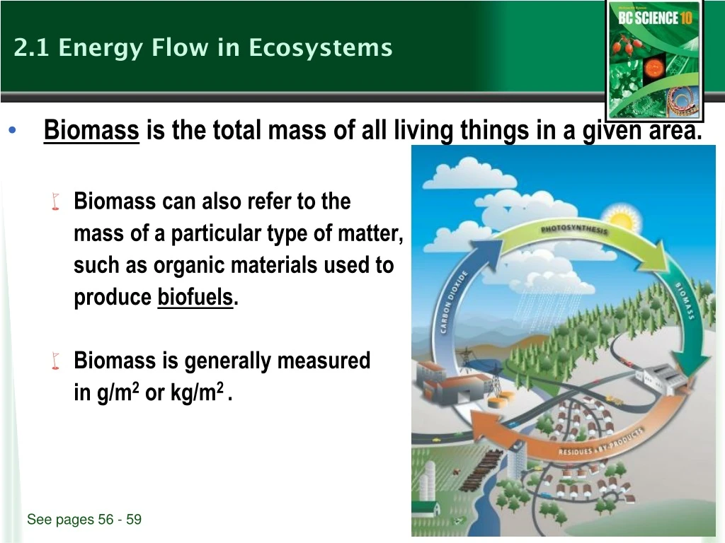 2 1 energy flow in ecosystems