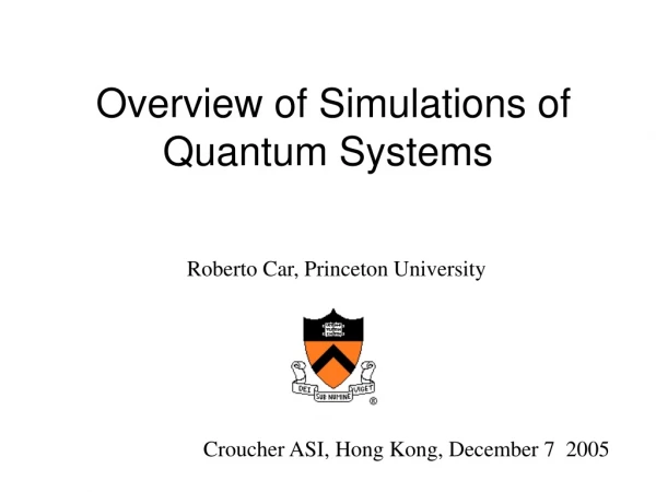 Overview of Simulations of Quantum Systems