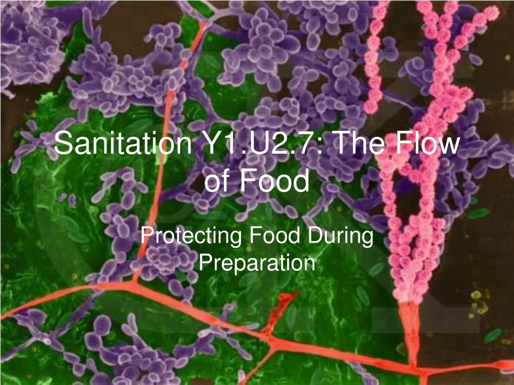 sanitation y1 u2 7 the flow of food
