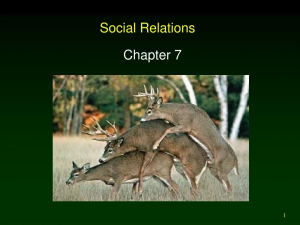 Social Relations