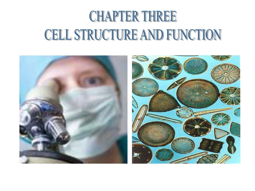 chapter three cell structure and function