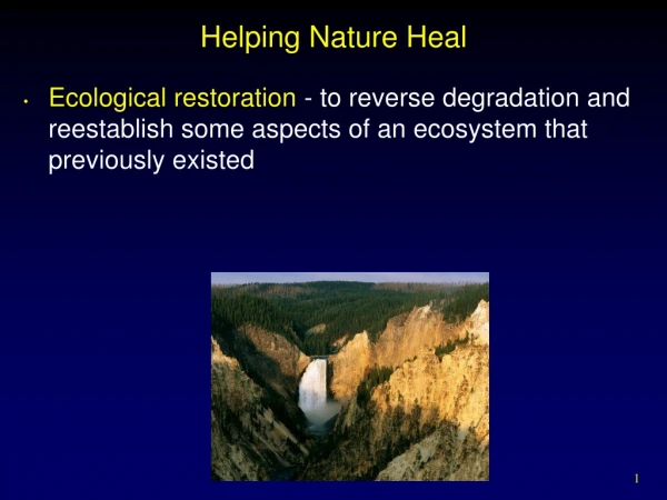 Helping Nature Heal