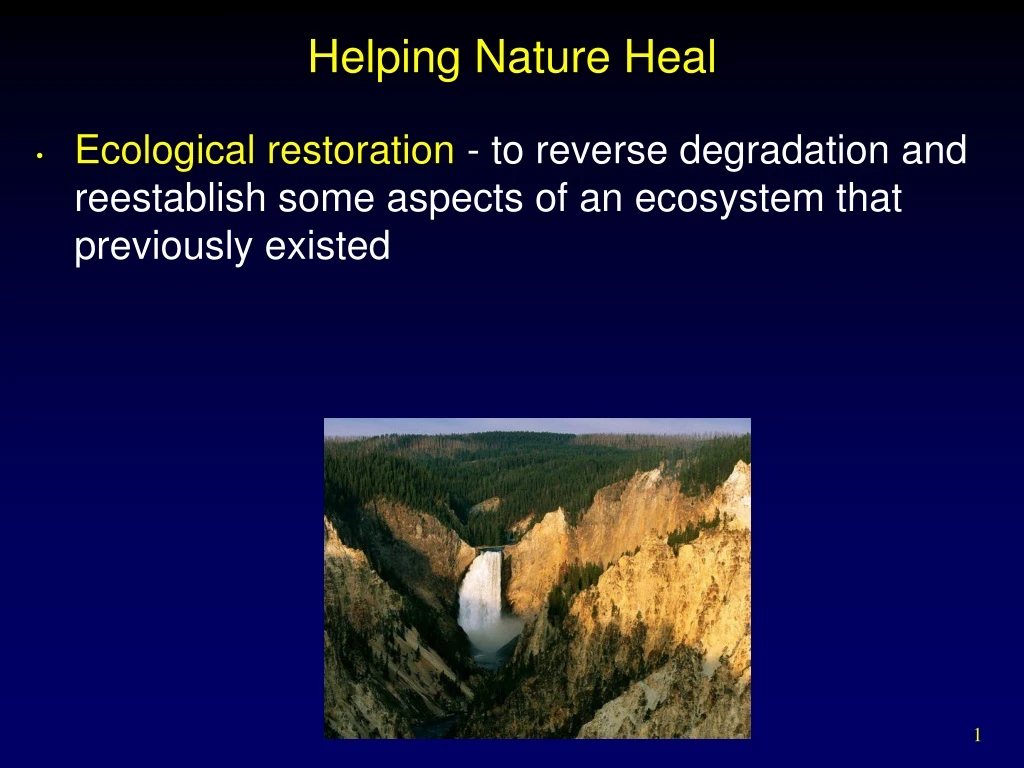 helping nature heal