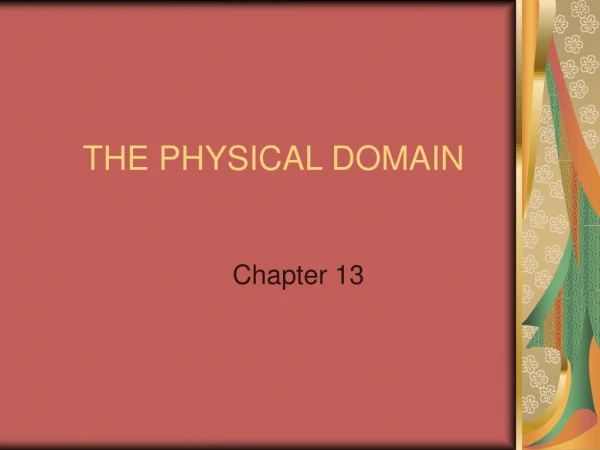 THE PHYSICAL DOMAIN