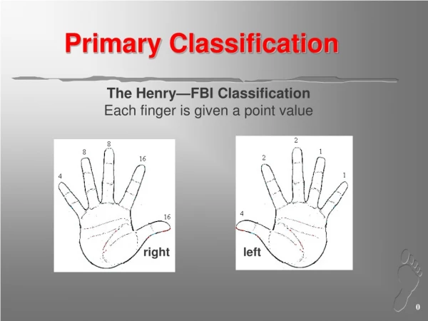 Primary Classification