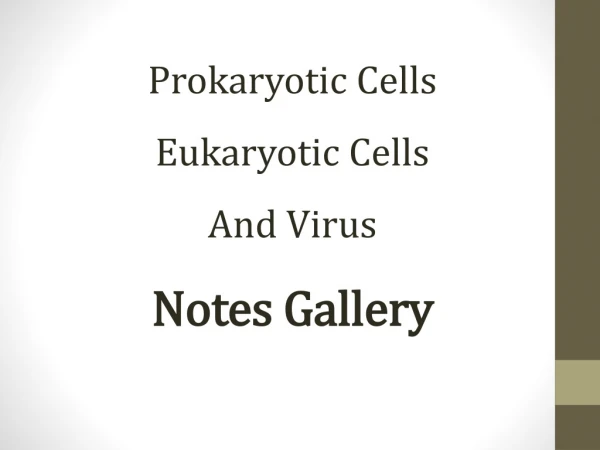 Prokaryotic Cells Eukaryotic Cells And Virus Notes Gallery