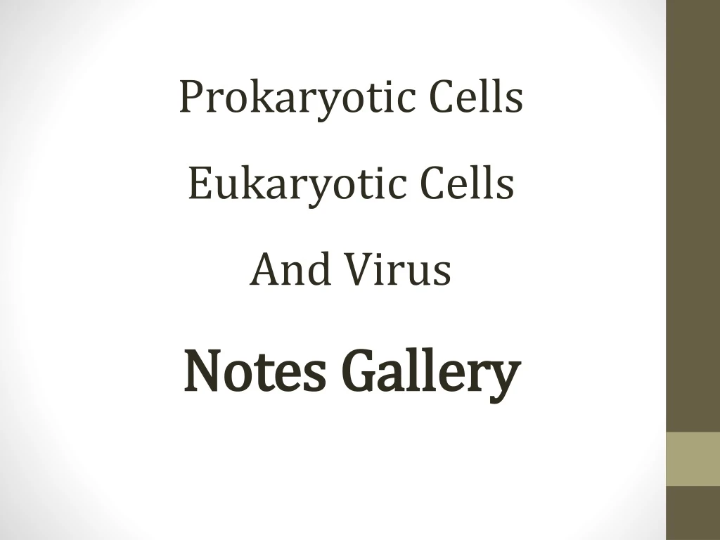 prokaryotic cells eukaryotic cells and virus