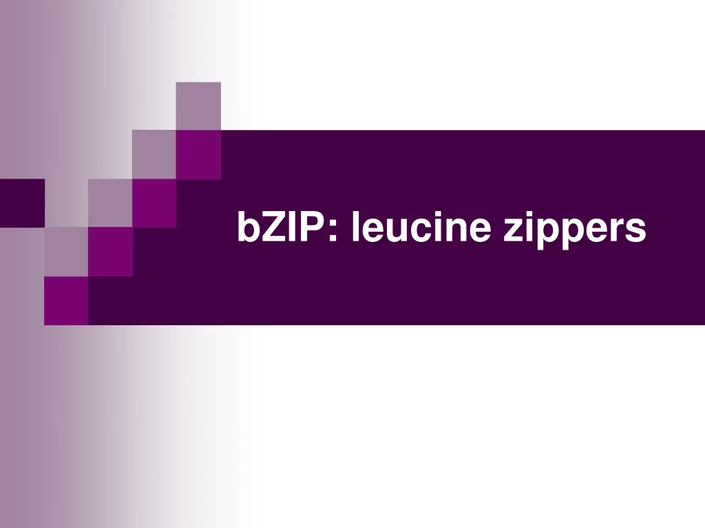 bzip leucine zippers